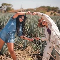 Dos personas formando un arco entre plantas de agave